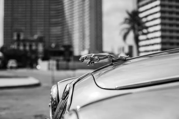 Casino Loony Bingo Aplicación Android/iOS